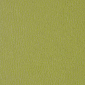 B34-Lime_03