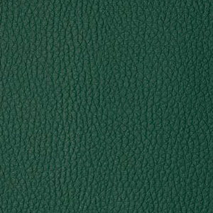 B35-Forest_03