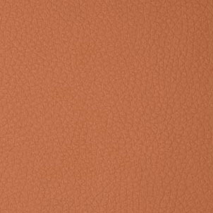 B40-Orange_03