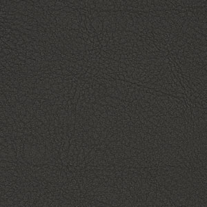 TC_22_Domus_Black_02